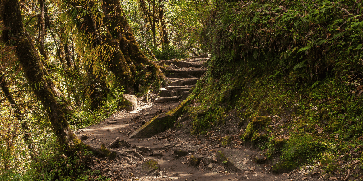 Trekking Trail Image